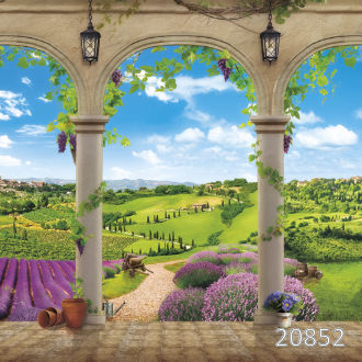 Прованский полдень