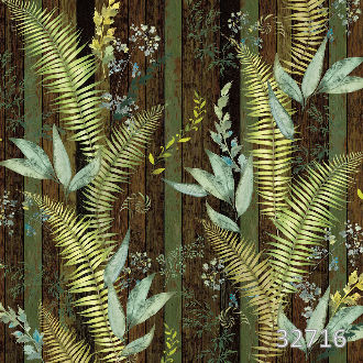 Tropics in the trees