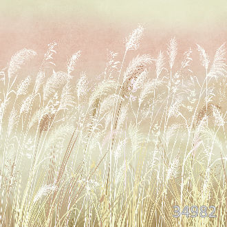 Воодушевление