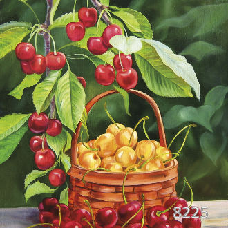 Черешенки на ветке в саду